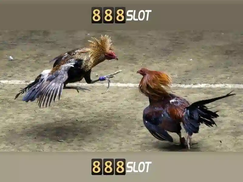 bonus_888_slot_-_Tổng_quan_chủ_đề_và_giá_trị_cốt_lõi