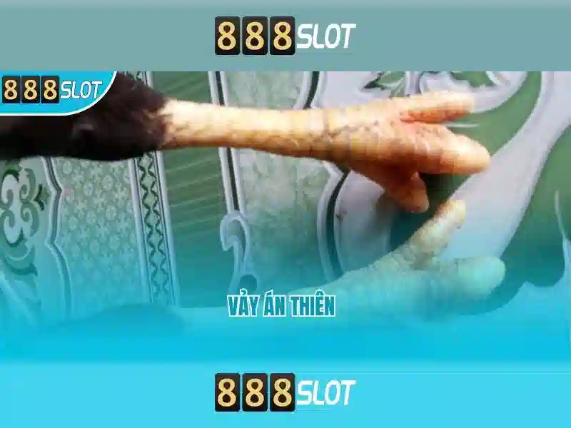 Đa dạng trò chơi và slot